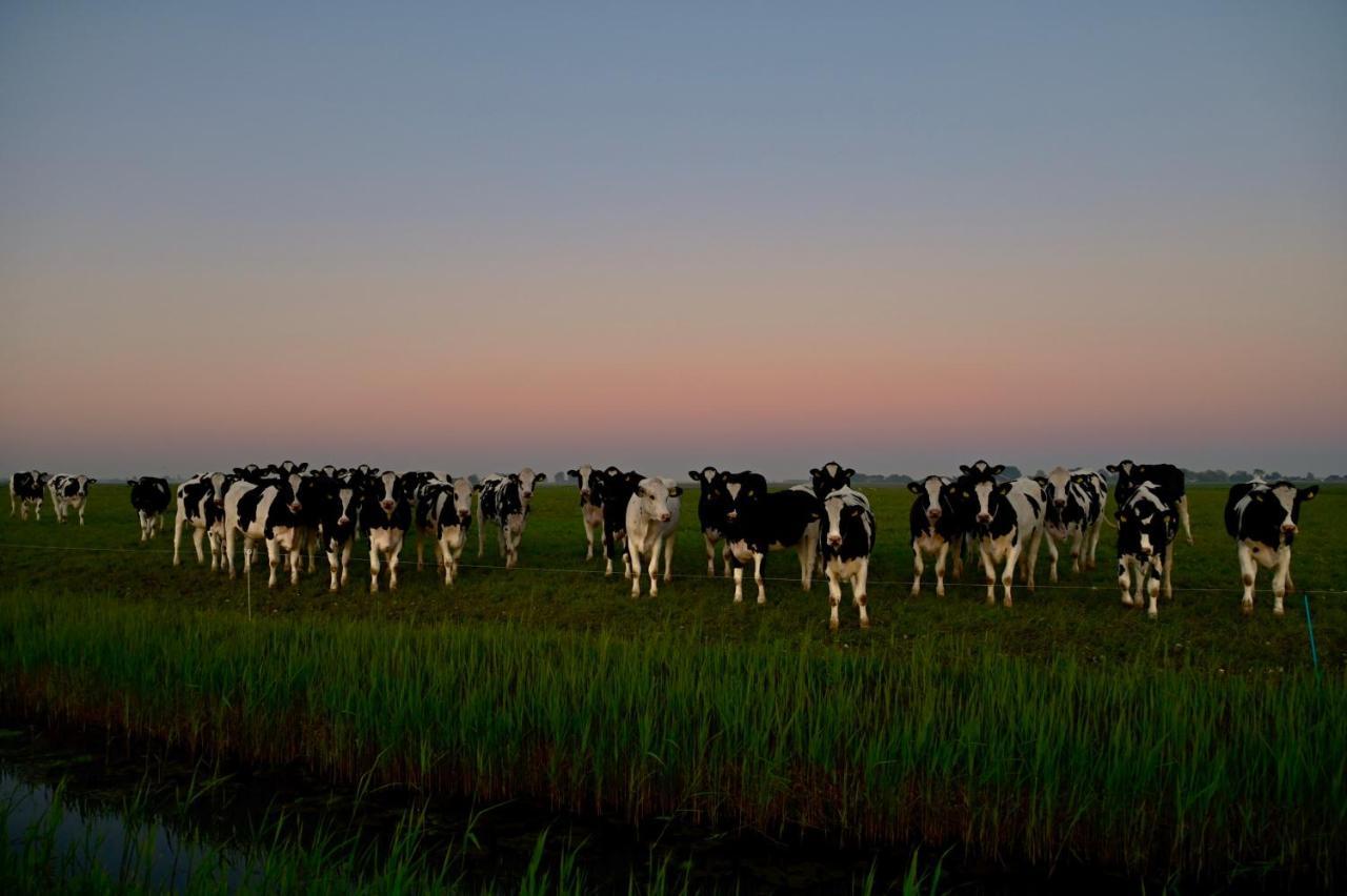 Het Melkhuis Op Prachtig Landgoed Koepeltjesplaats Gaast Exterior photo