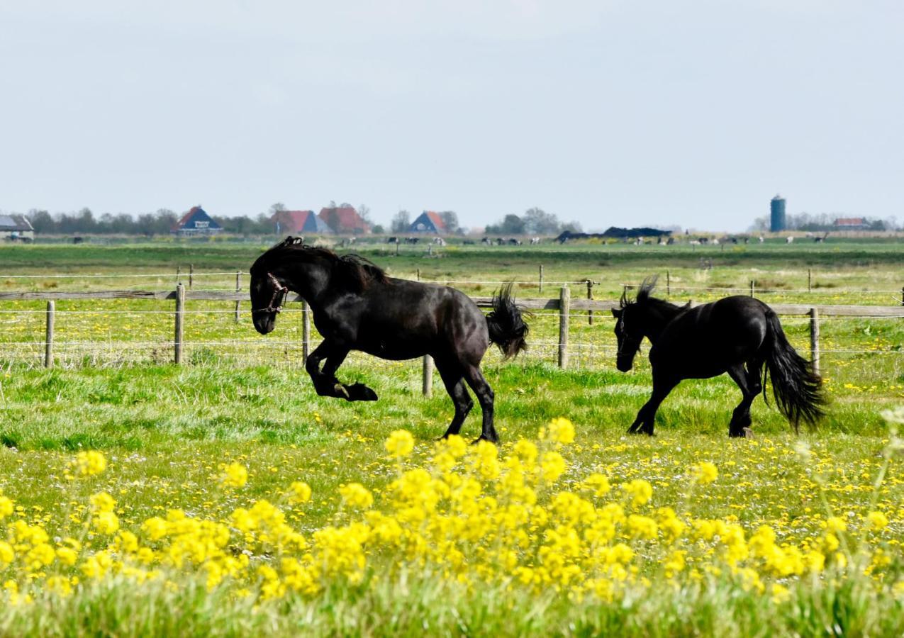 Het Melkhuis Op Prachtig Landgoed Koepeltjesplaats Gaast Exterior photo