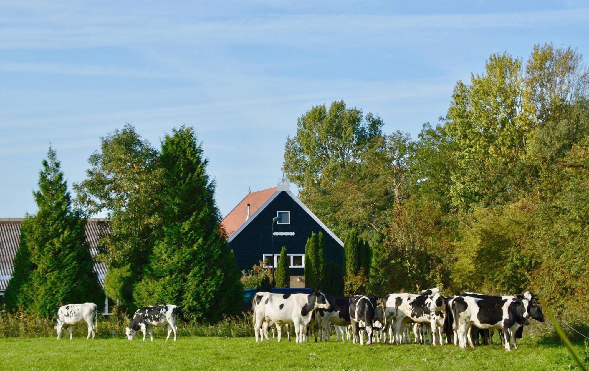 Het Melkhuis Op Prachtig Landgoed Koepeltjesplaats Gaast Exterior photo